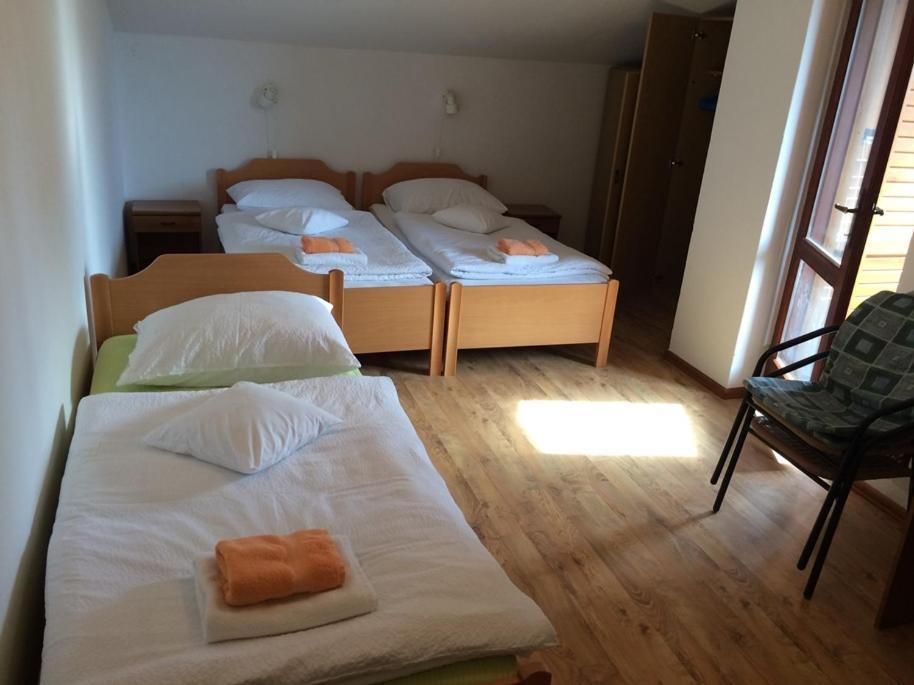 Bed & Breakfast Vila Albatros *