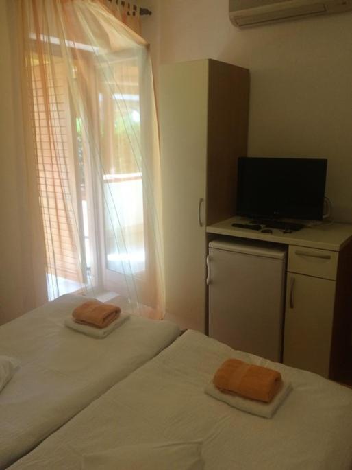 Bed & Breakfast Vila Albatros *